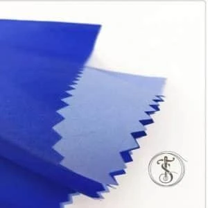 Polyester Taslan Fabric