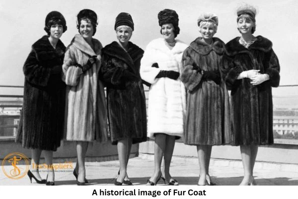 Historical image of Fur Coats