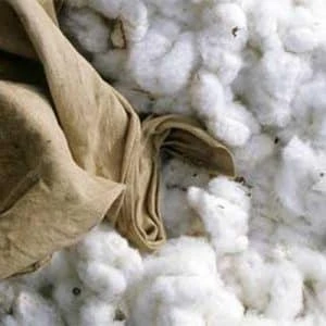 Pima Cotton