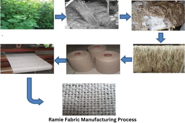 Ramie Fabric Manufacturing Process