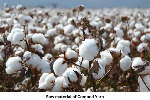 Raw material of Combed Yarn