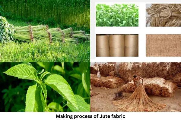 The Manufacturing Process of Jute Fabric
